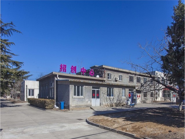 全国高级技师**筋膜枪市场